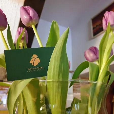 Motel Park Przy Jeziorze - Sauna I Duzy Parking - Pieski Mile Widziane Lowicz Walecki