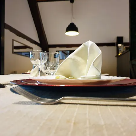 Motel Park Lowicz Walecki