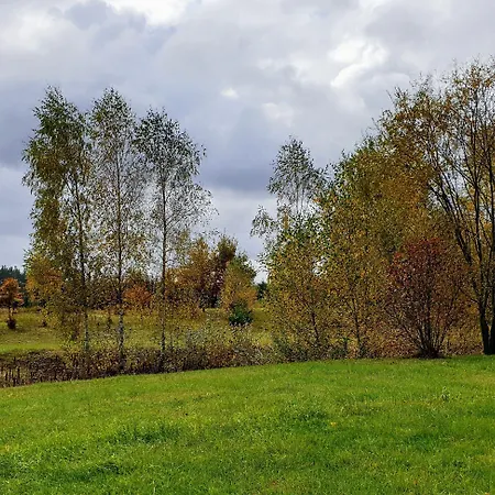 Park Przy Jeziorze - Sauna I Duzy Parking - Pieski Mile Widziane
