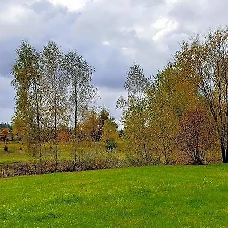 Park Przy Jeziorze - Sauna I Duzy Parking - Pieski Mile Widziane Motel Lowicz Walecki