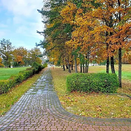 Park Przy Jeziorze - Sauna I Duzy Parking - Pieski Mile Widziane 2*