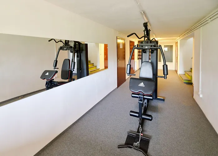 Park Przy Jeziorze - Sauna I Duzy Parking - Pieski Mile Widziane Lowicz Walecki