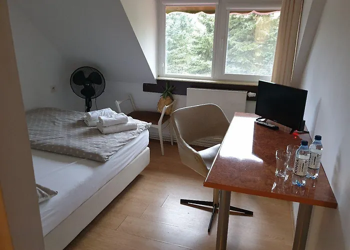 Park Przy Jeziorze - Sauna I Duzy Parking - Pieski Mile Widziane Motel Lowicz Walecki